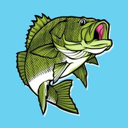 walleye