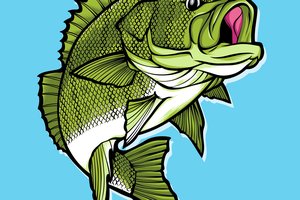 walleye