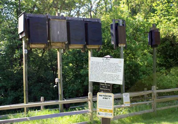 Bat studies take place in Lafayette, Grant counties