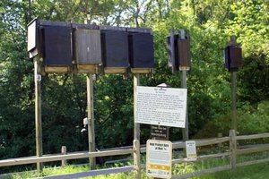 Bat studies take place in Lafayette, Grant counties