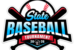 wiaa state baseball