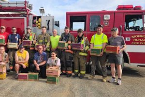 Girls Scout troop donates cookies
