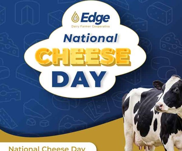 Edge Dairy
