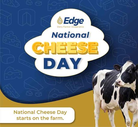 Edge Dairy