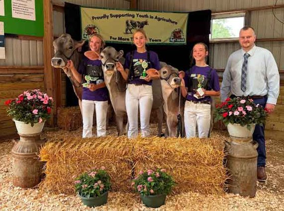cattle show
