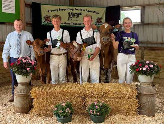 cattle show