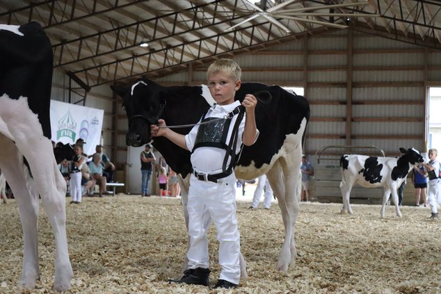 Green County Fair 2026