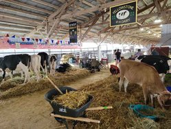 Lafayette County Fair Opens