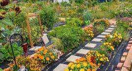 Juda project wins AARP grant aimed at making community more livable for all residents as they age
