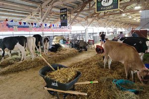 Lafayette County Fair Opens
