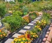 Juda project wins AARP grant aimed at making community more livable for all residents as they age