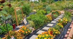Juda project wins AARP grant aimed at making community more livable for all residents as they age