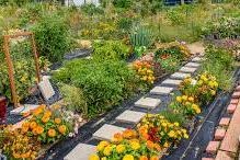 Juda project wins AARP grant aimed at making community more livable for all residents as they age