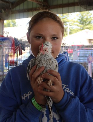 Scenes from the Lafayette County Fair