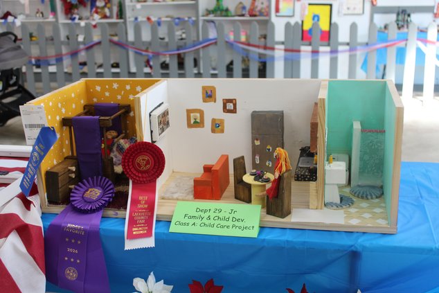 Scenes from the Lafayette County Fair