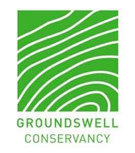 Groundswell