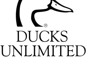 Ducks Unlimited