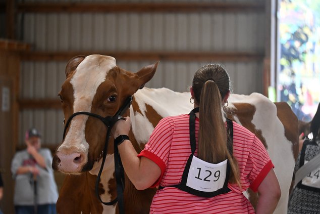 Green County Fair 2026