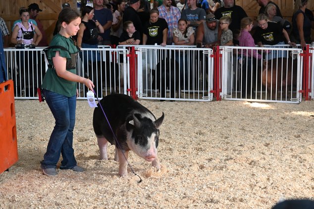 Green County Fair 2026