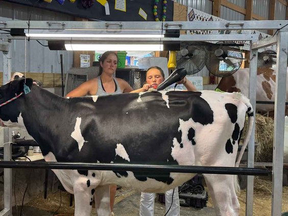 Green County Fair 2026