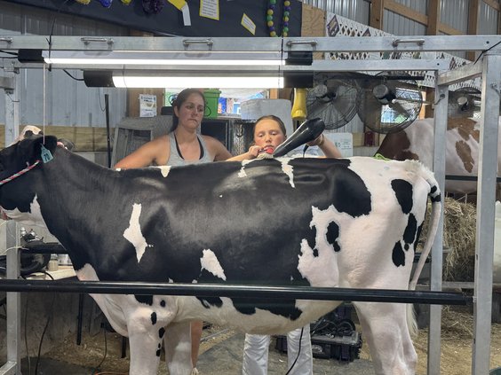Green County Fair 2026