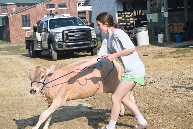 Green County Fair 2026