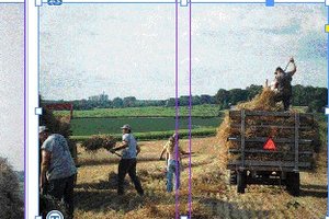 Flywheelers club binds local wheat field