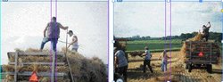 Flywheelers club binds local wheat field