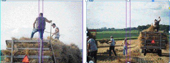 Flywheelers club binds local wheat field