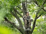 Hunting