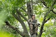 Hunting
