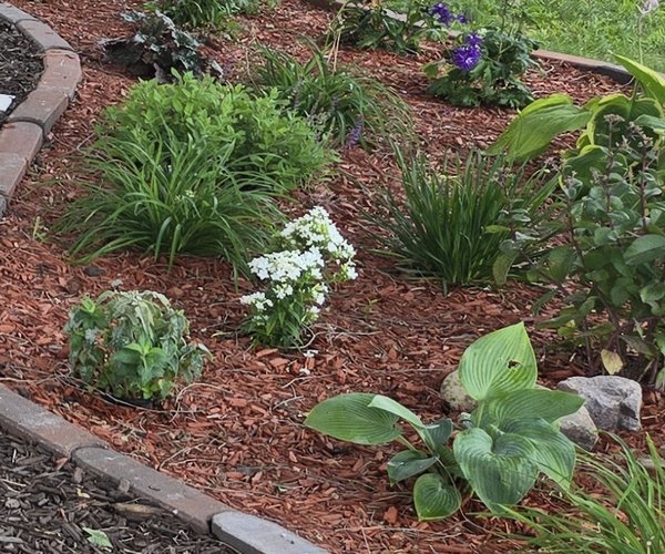 Community Garden