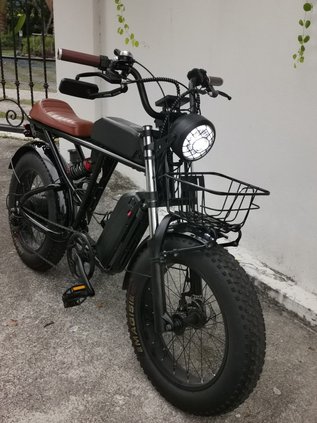 ebike