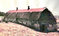 Plagman Barn