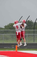 Darlington at Monroe