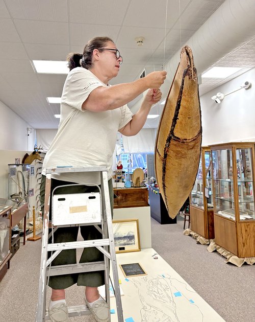 Elise Martins - Teacher Externship