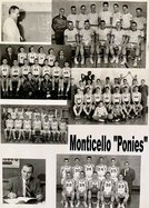 Monticello Ponies