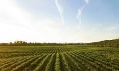 farmland