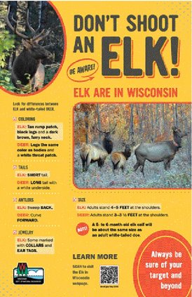 don't shoot an elk