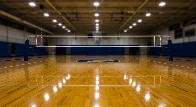 Generic Volleyball Court