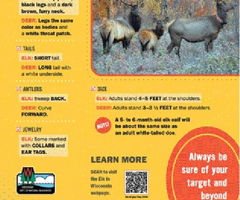 don't shoot an elk