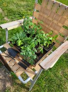 Plants on chair