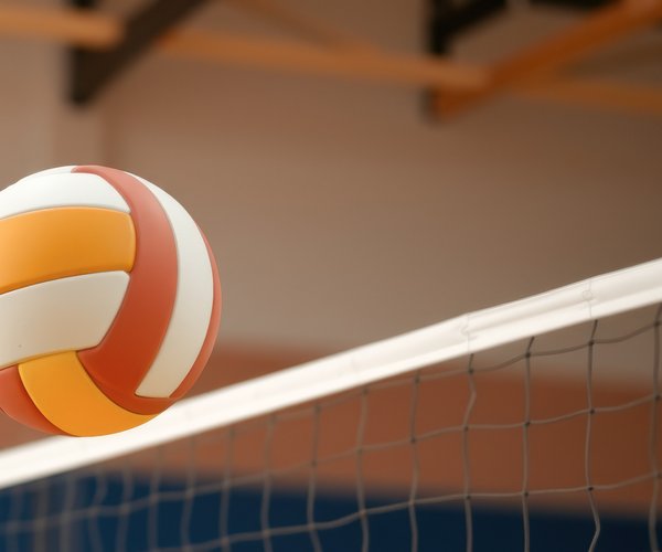 Generic Volleyball on net photo