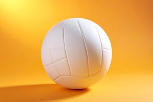 Generic white volleyball
