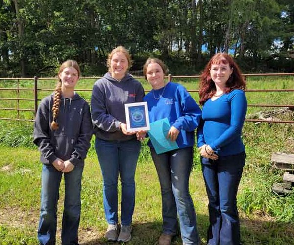 Land judging