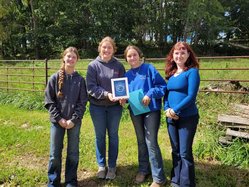 Land judging