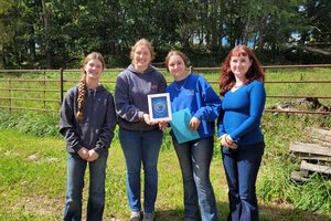 Land judging