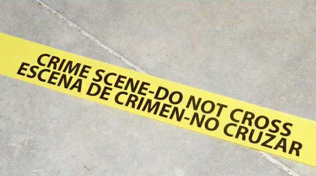 WEB CRIME HOUSE 4
