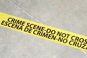 WEB CRIME HOUSE 4