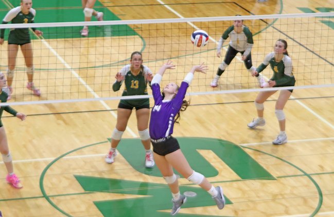 Braelyn Schneider reverse hit